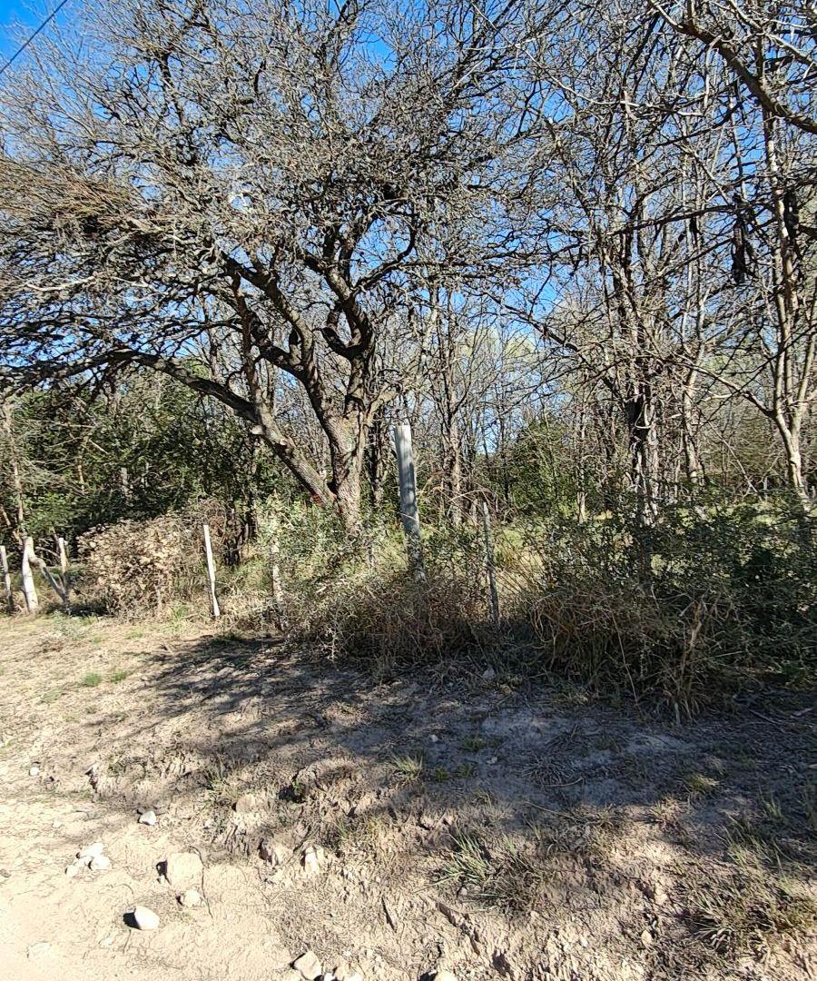 Foto de LOTE DE 2.865 M² EN NONO — TRASLASIERRA · FINANCIADO, imagen 3