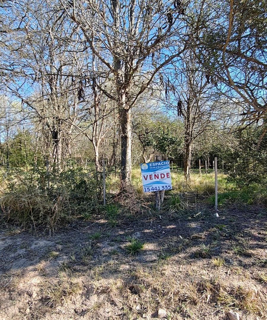 Foto de LOTE DE 2.865 M² EN NONO — TRASLASIERRA · FINANCIADO, imagen 5