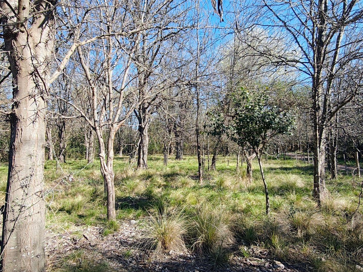 Foto de LOTE DE 2.865 M² EN NONO — TRASLASIERRA · FINANCIADO, imagen 1