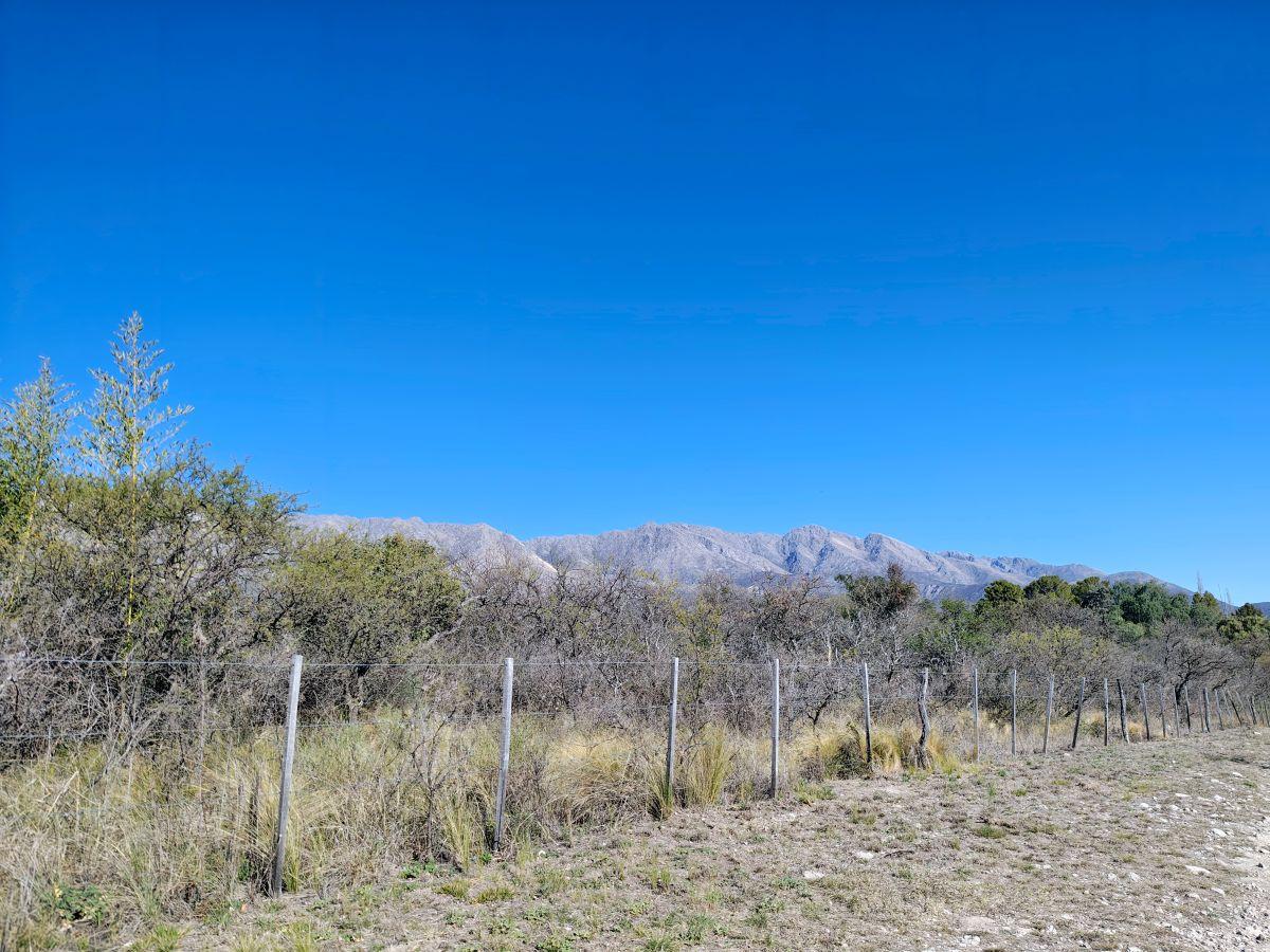 Foto de LOTE DE 2 HECTÁREAS 7.481 M² — LAS CALLES EL HUAICO, TRASLASIERRA, imagen 4