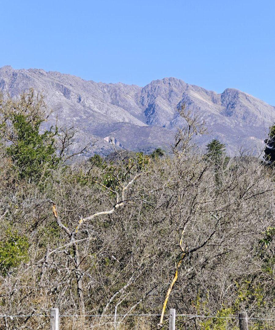Foto de LOTE DE 2 HECTÁREAS 7.481 M² — LAS CALLES EL HUAICO, TRASLASIERRA, imagen 2