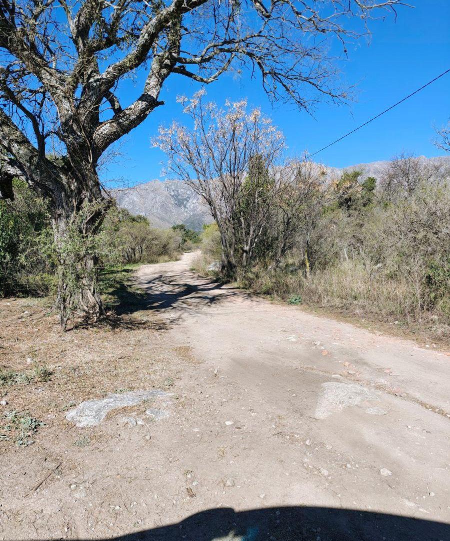 Foto de LOTE DE 2 HECTÁREAS 7.481 M² — LAS CALLES EL HUAICO, TRASLASIERRA, imagen 5