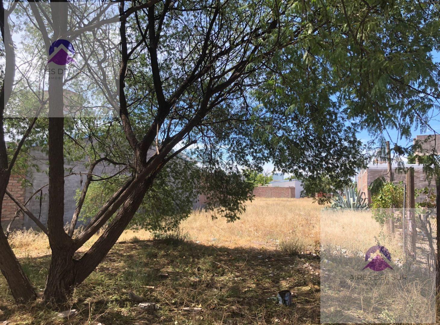 Foto de Terreno en San Rafael, imagen 3