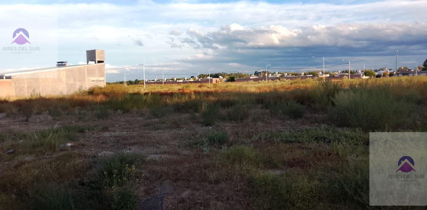 Foto de Terreno en San Rafael, imagen 2
