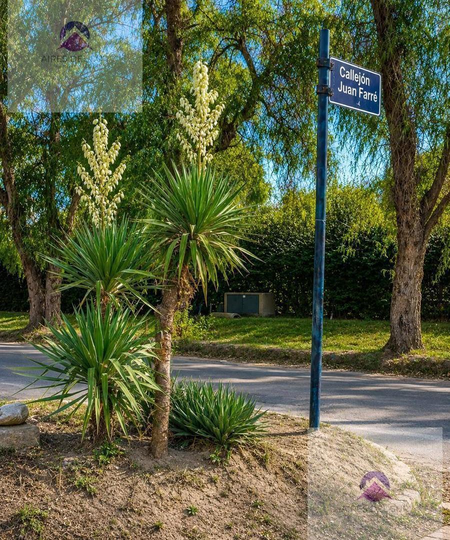 Foto de Terreno en San Rafael, imagen 1