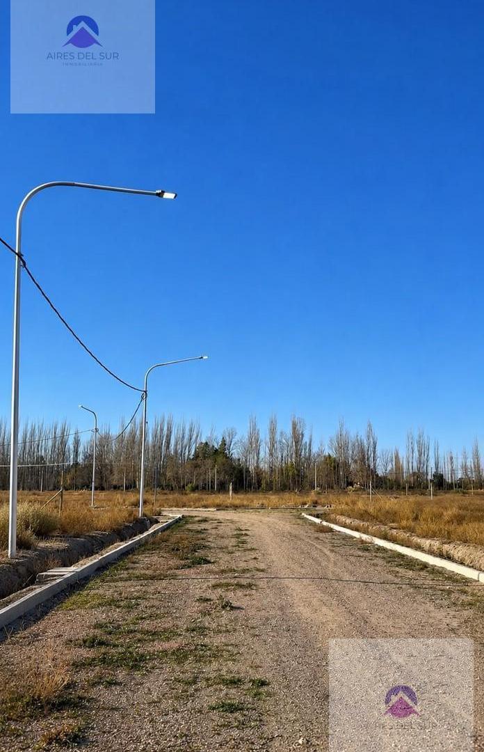 Foto de Terreno en San Rafael, imagen 2