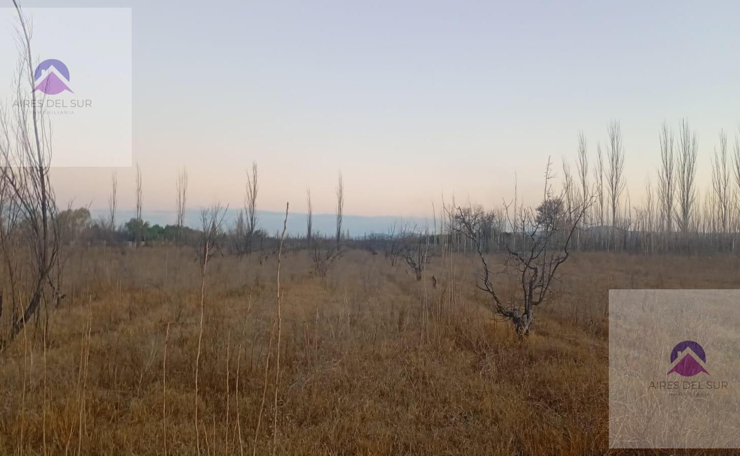 Foto de Finca de 3hs con Casa, imagen 3
