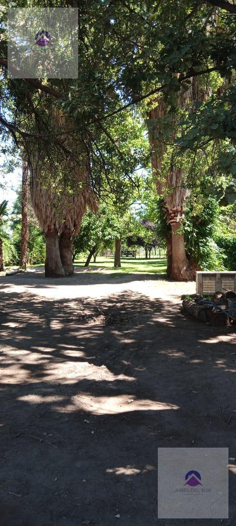 Foto de Finca 8ha con Casona, imagen 4