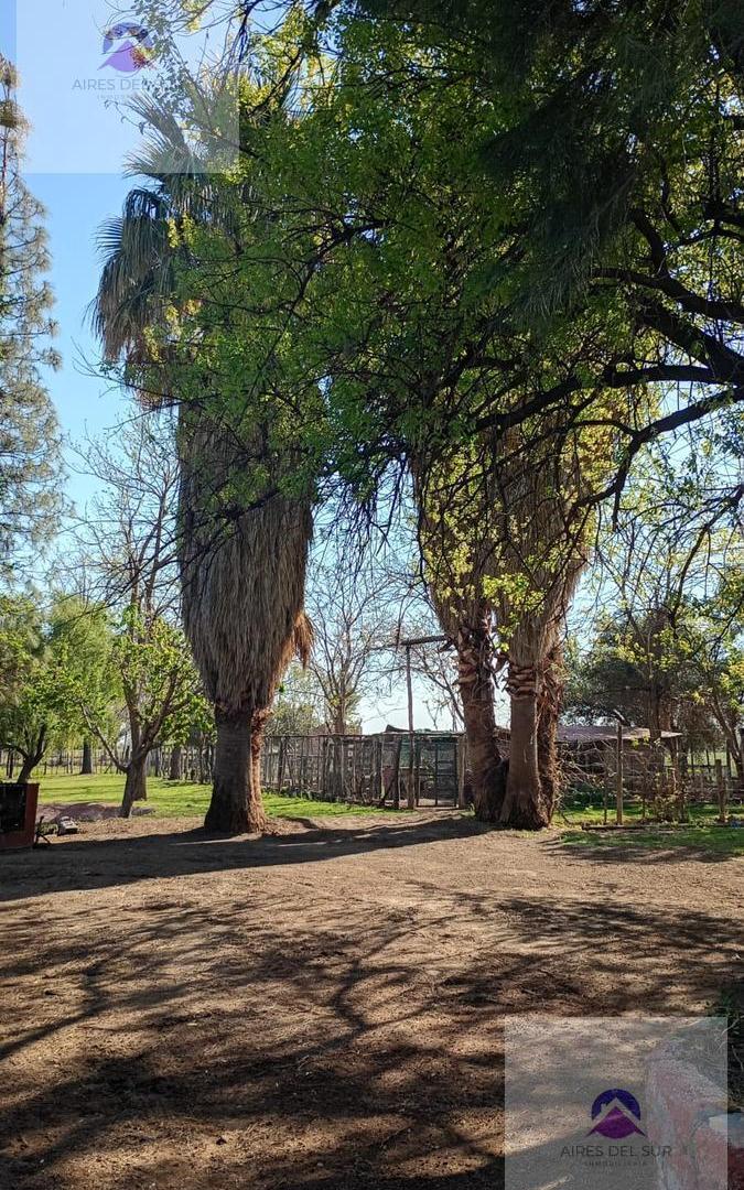 Foto de Finca 8ha con Casona, imagen 2