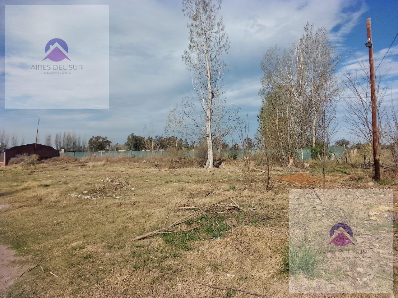 Foto de Terreno en Las Paredes, imagen 1