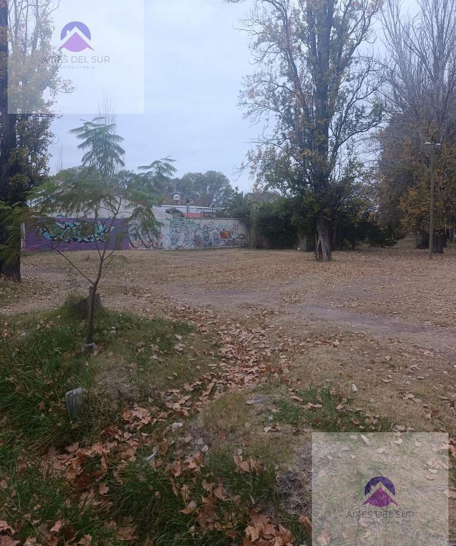Foto de Terreno en San Rafael, imagen 5