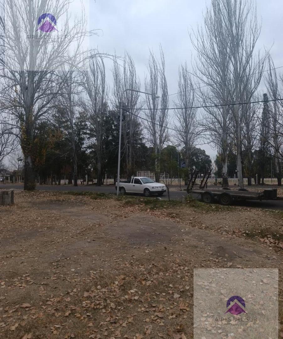 Foto de Terreno en San Rafael, imagen 2