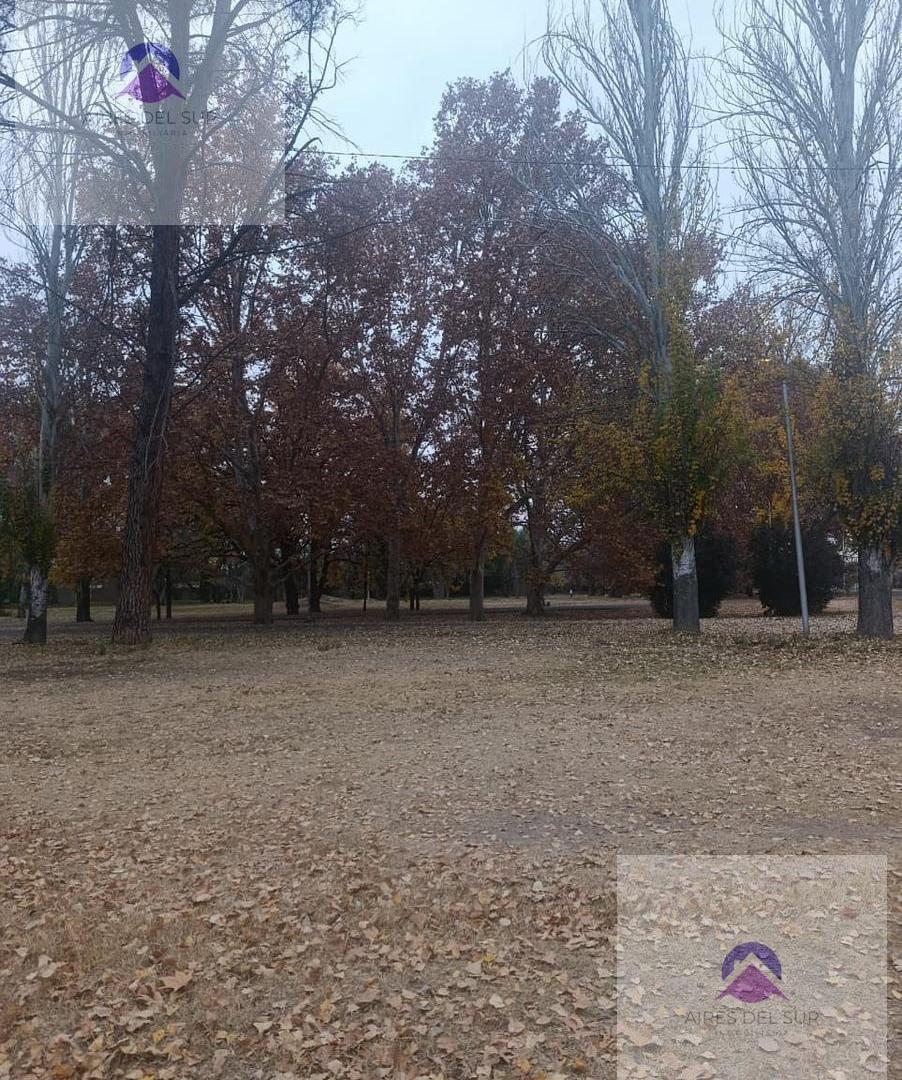 Foto de Terreno en San Rafael, imagen 3