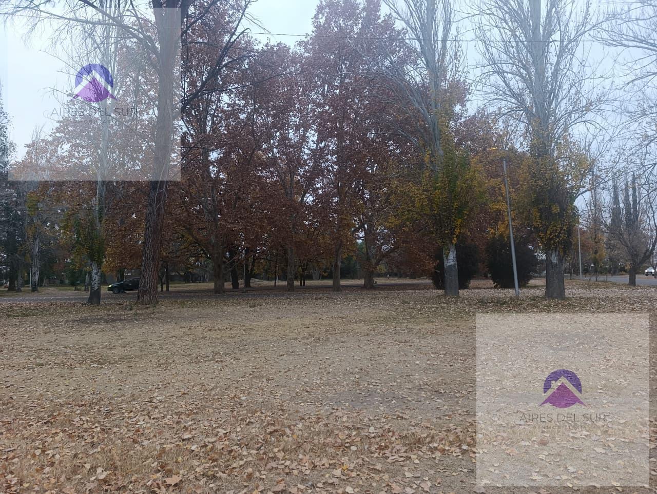 Foto de Terreno en San Rafael, imagen 4