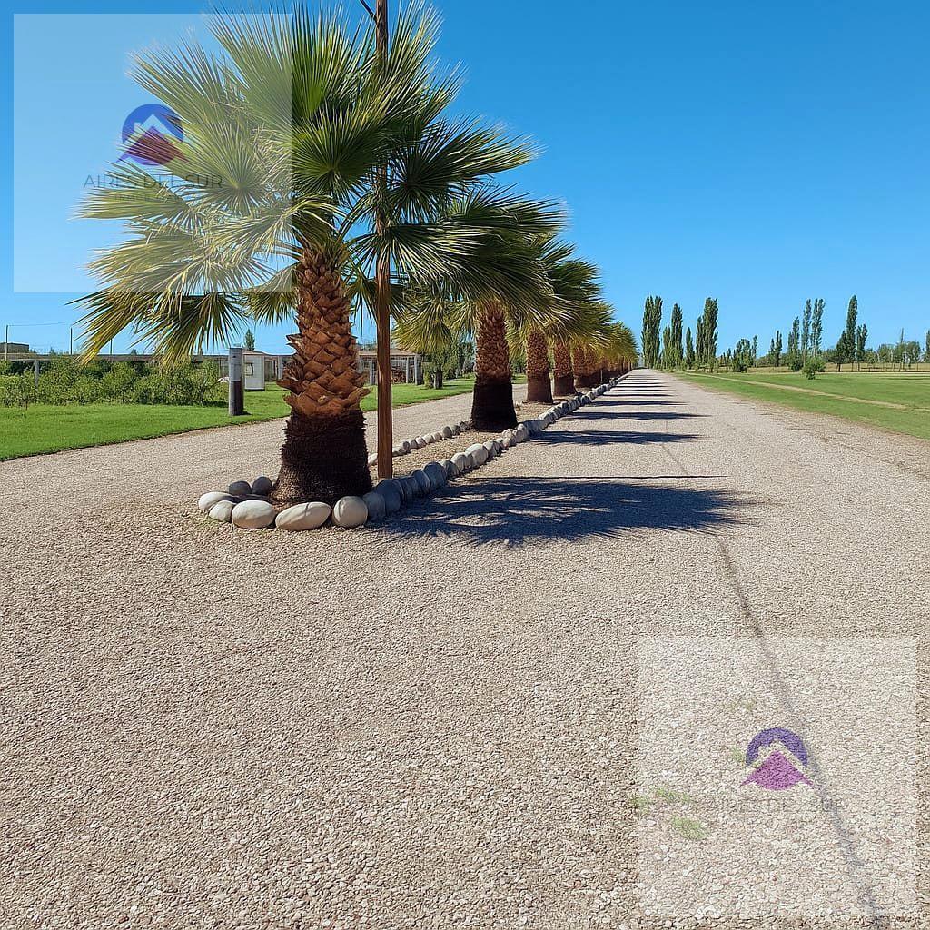 Foto de Terreno en Las Paredes, imagen 1