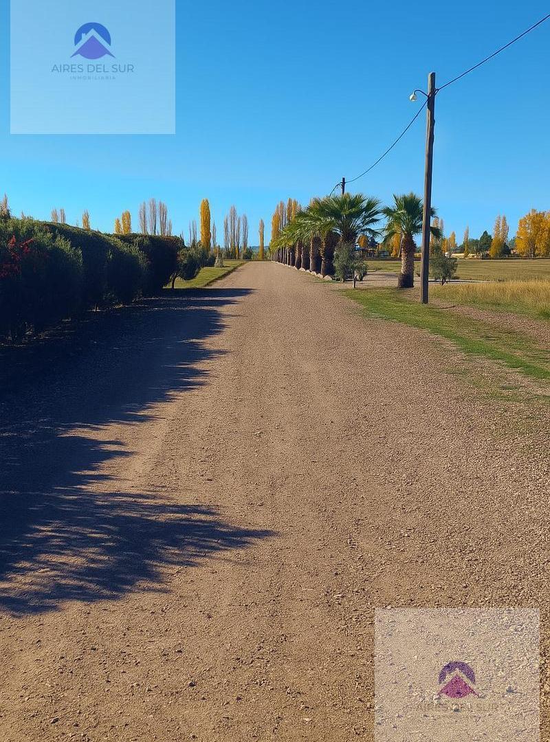 Foto de Terreno en Las Paredes, imagen 2
