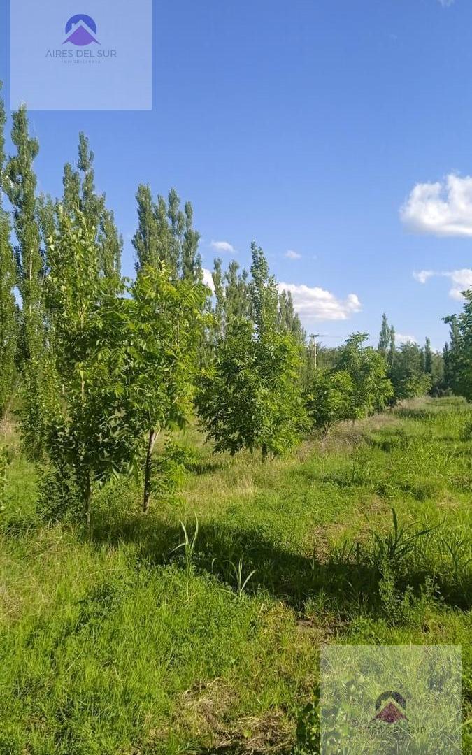 Foto de Finca EN MONTE COMAN, imagen 5