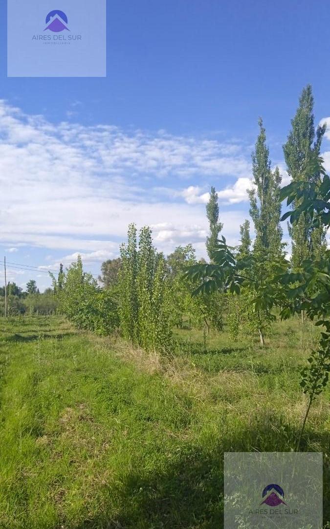 Foto de Finca EN MONTE COMAN, imagen 4