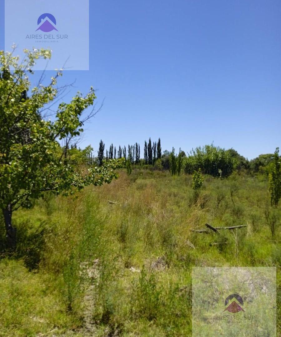 Foto de Finca 5ha LOS CLAVELES, imagen 3