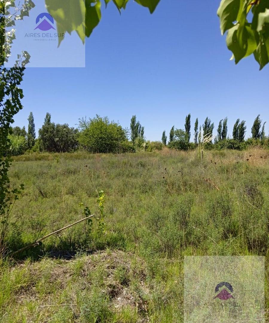 Foto de Finca 5ha LOS CLAVELES, imagen 1