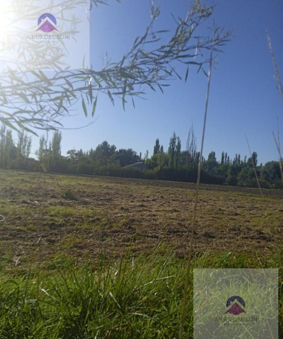 Foto de Terreno en calle Sarmiento- Las Paredes, imagen 4