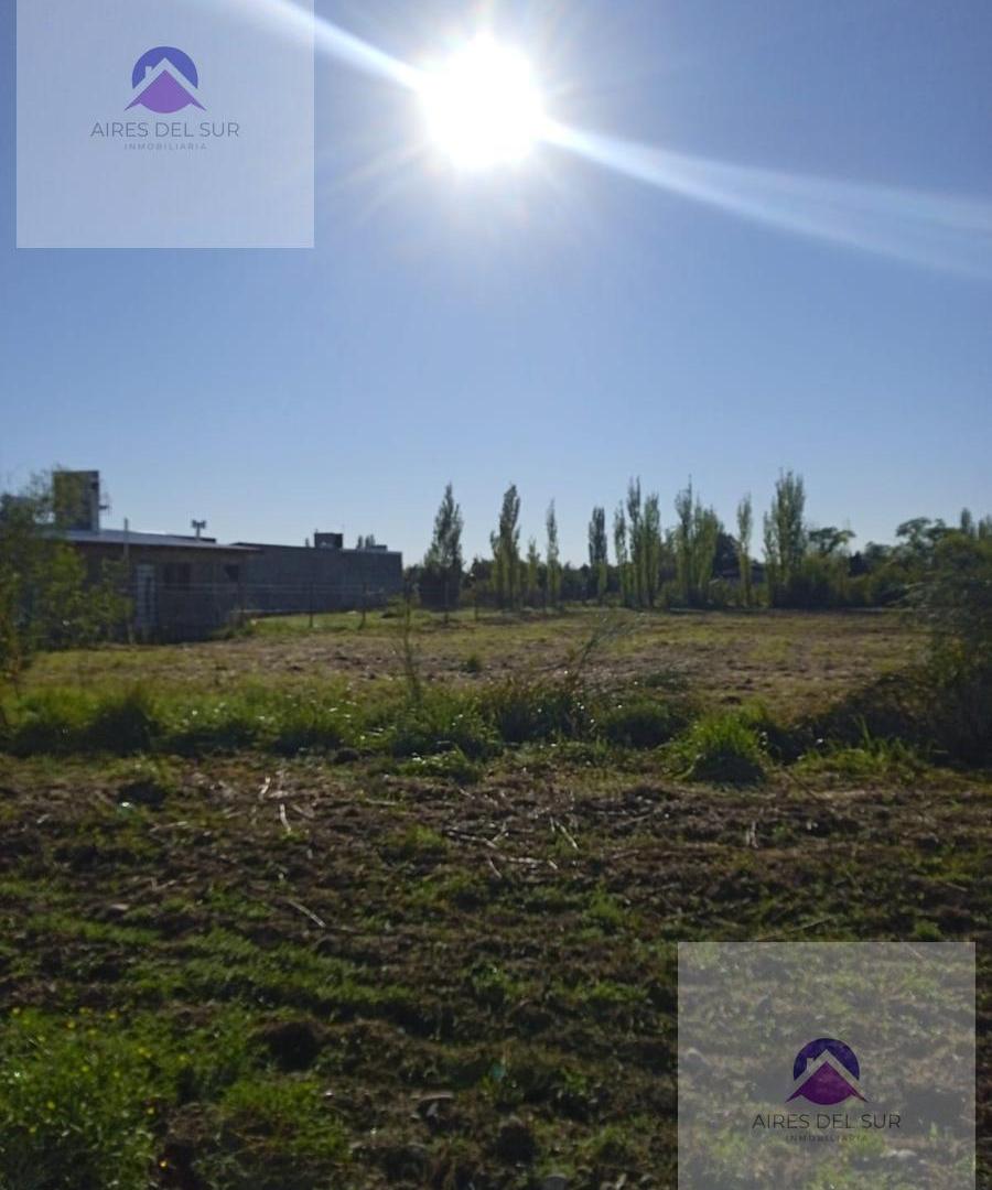 Foto de Terreno en calle Sarmiento- Las Paredes, imagen 3