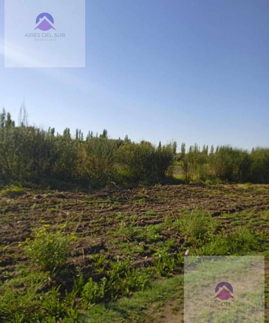 Foto de Terreno en calle Sarmiento- Las Paredes, imagen 1