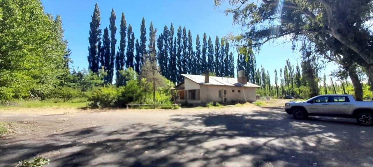 Foto de Venta Chacra , 9 hectáreas, Villa Regina, Río Negro, Patagonia, imagen 1