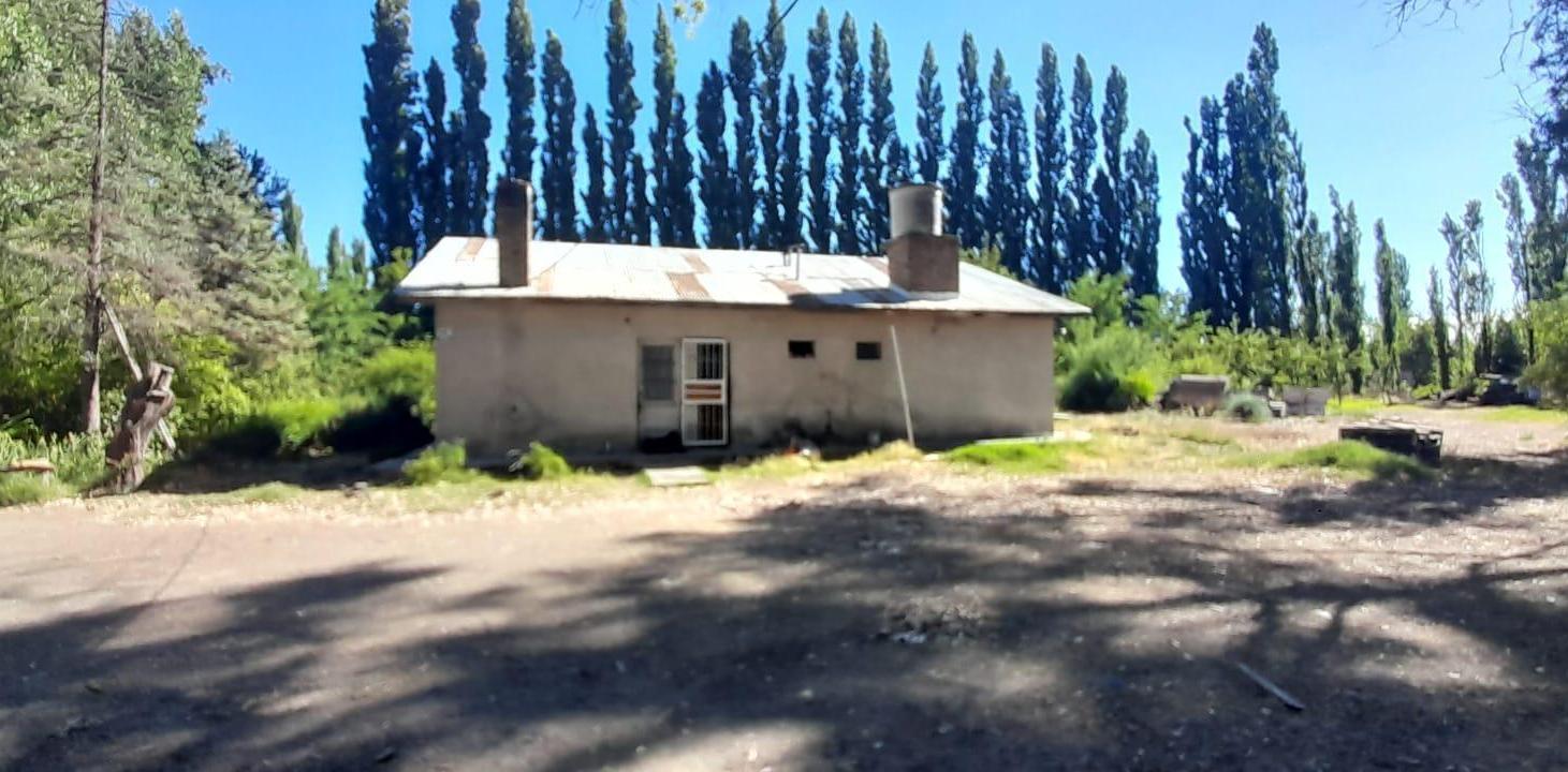 Foto de Venta Chacra , 9 hectáreas, Villa Regina, Río Negro, Patagonia, imagen 2