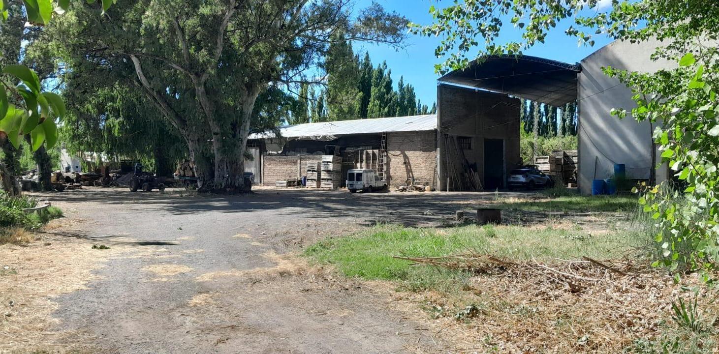 Foto de Venta Chacra , 9 hectáreas, Villa Regina, Río Negro, Patagonia, imagen 3