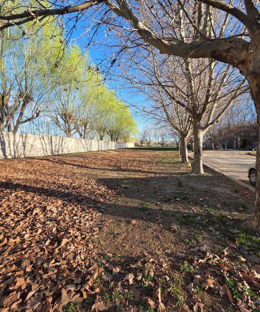 Foto de Terreno en General Roca, imagen 5