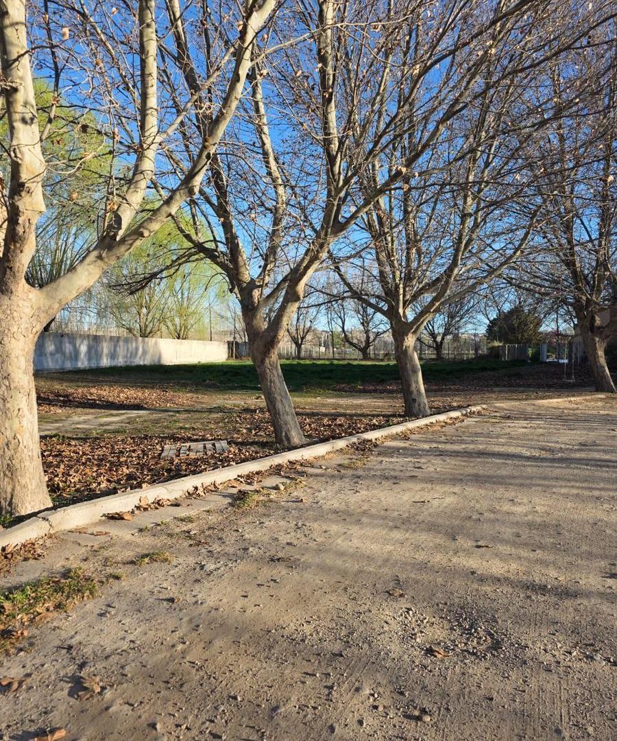 Foto de Terreno en General Roca, imagen 2