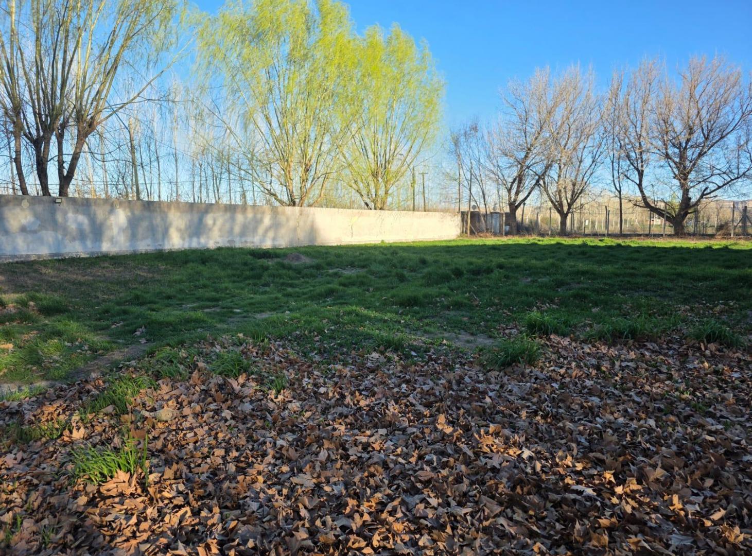 Foto de Terreno en General Roca, imagen 4