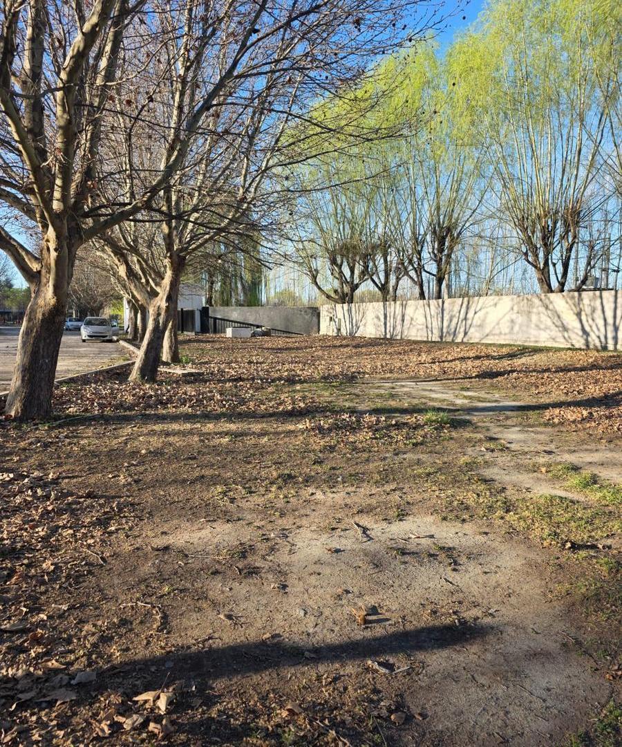 Foto de Terreno en General Roca, imagen 1