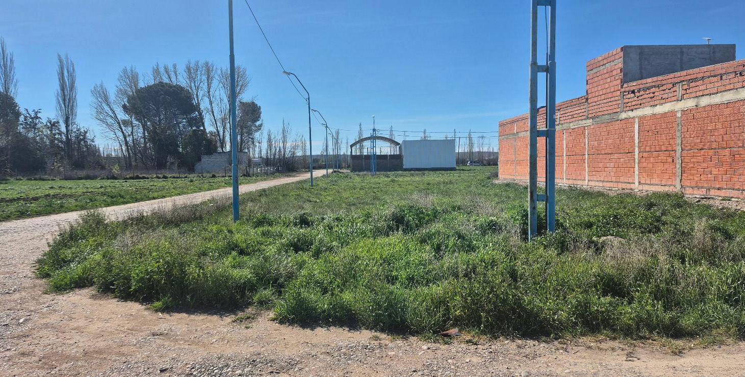 Foto de Venta Terreno , Barrio Don Mariano, General Roca, Río negro., imagen 5