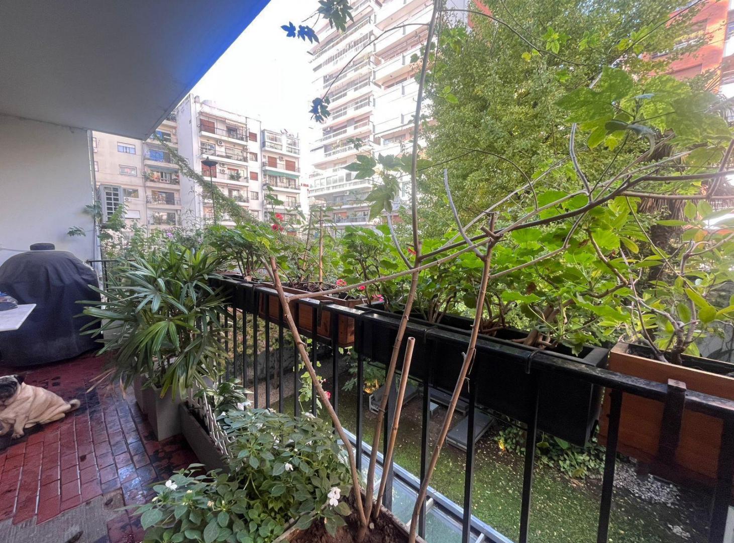 Foto de SEMIPISO DE CATEGORÍA EN BARRANCAS DE BELGRANO, imagen 2