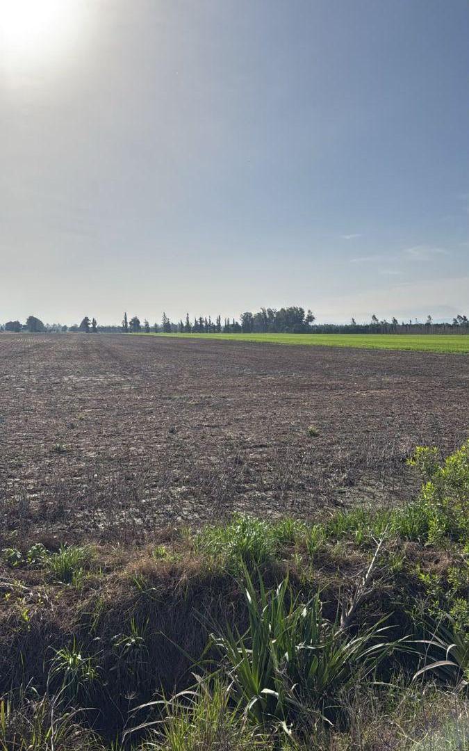 Foto de 6 Hectarias Agricolas, imagen 5