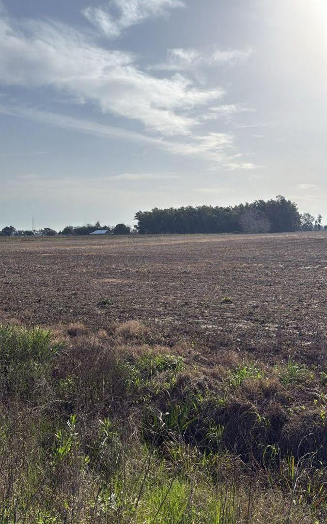 Foto de 6 Hectarias Agricolas, imagen 2