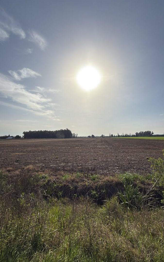 Foto de 6 Hectarias Agricolas, imagen 1