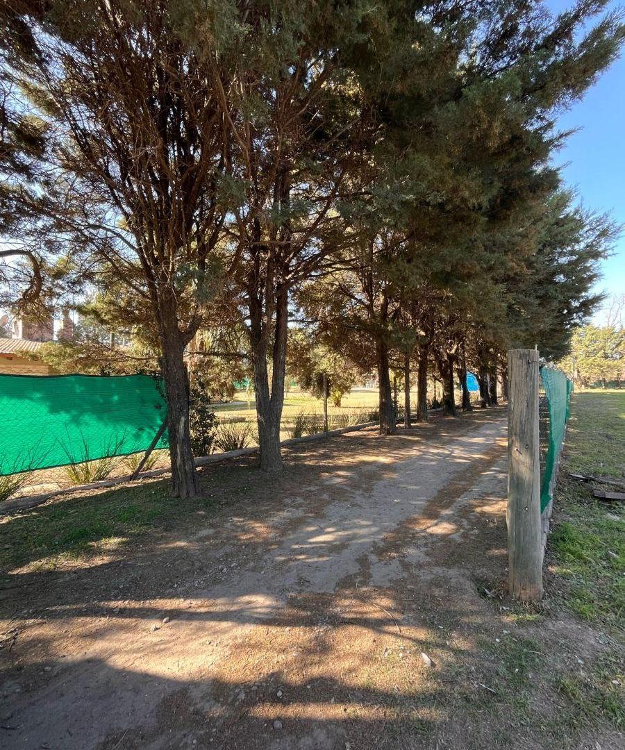 Foto de Terreno en Camino san Carlos - Bouwer con escritura, imagen 1