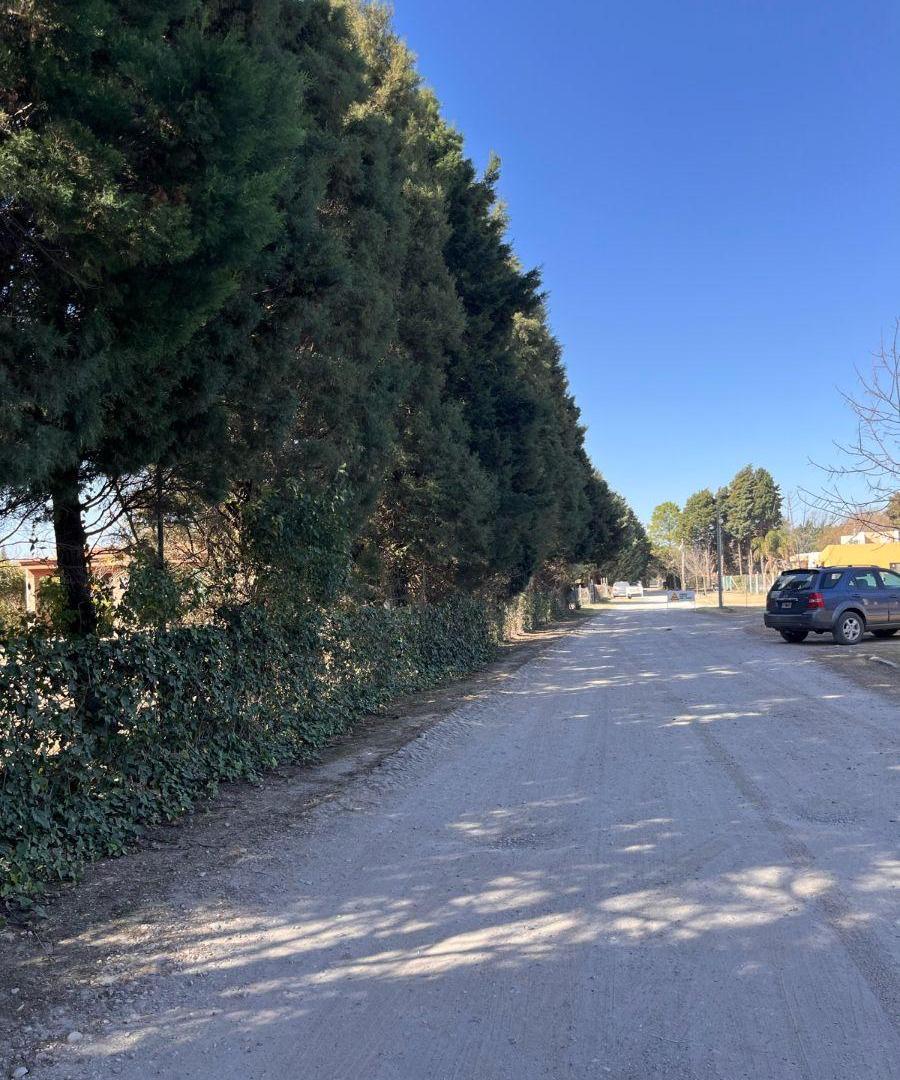 Foto de Terreno en Camino san Carlos - Bouwer con escritura, imagen 5