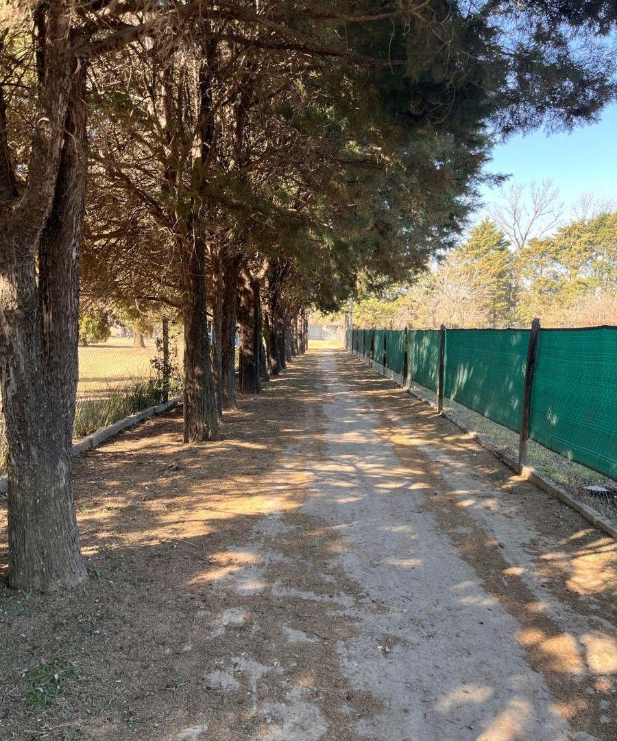 Foto de Terreno en Camino san Carlos - Bouwer con escritura, imagen 2
