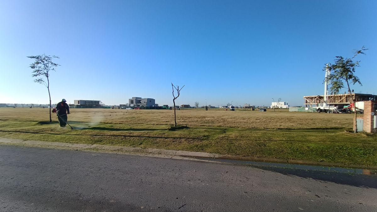 Foto de Terreno de 681 m² en VENTA en Amarras/ OPORTUNIDAD, imagen 5