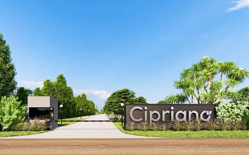 Foto de LOTE EN VENTA EN CIPRIANO, ALVEAR – LOTE CONTIGUO DISPONIBLE, imagen 1