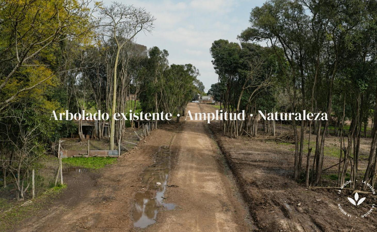 Foto de La Mision, imagen 3
