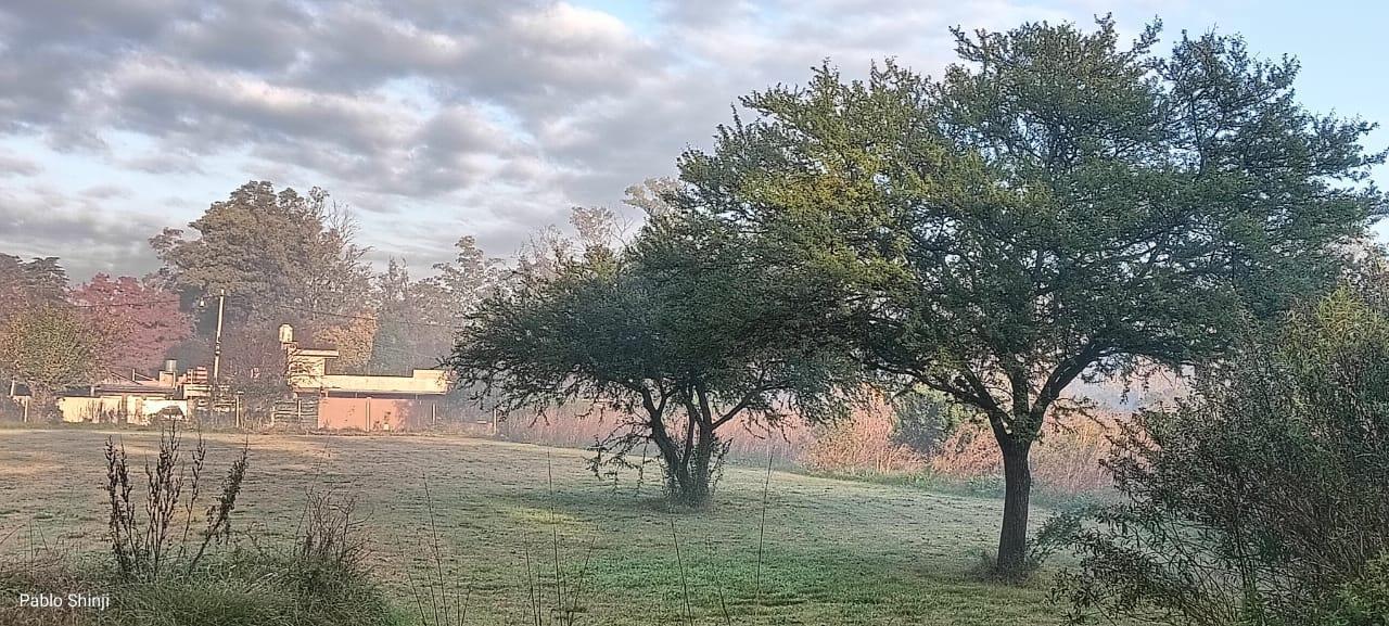 Foto de Las Moras, imagen 3