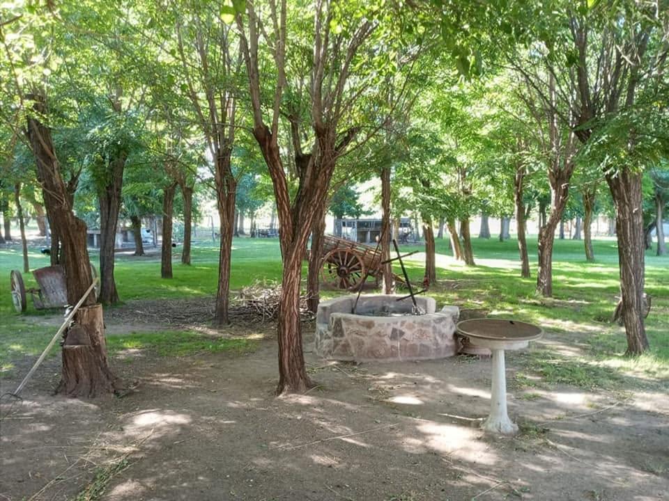 Foto de Campo en venta Taslasierra, imagen 3