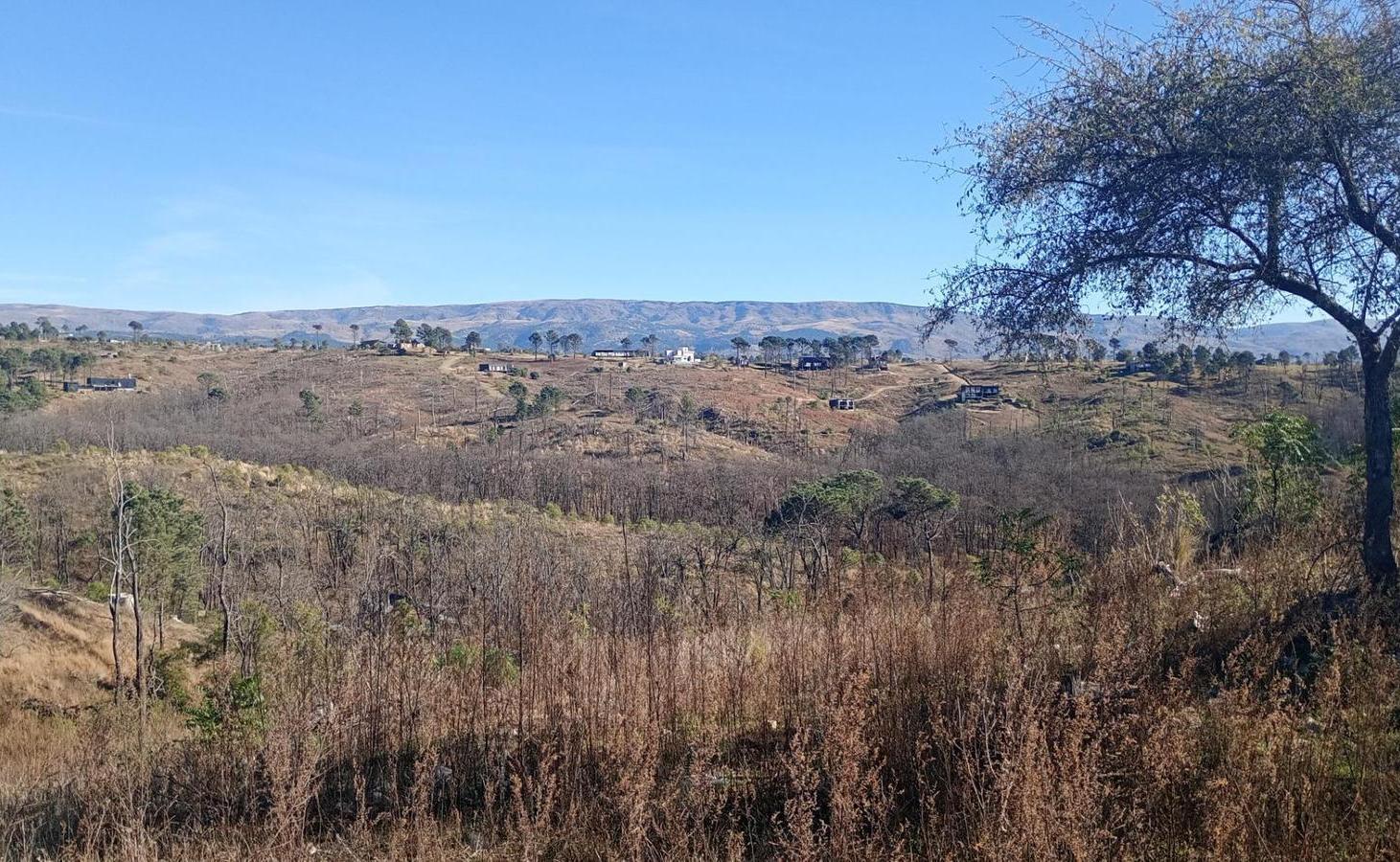 Foto de Lote, imagen 3