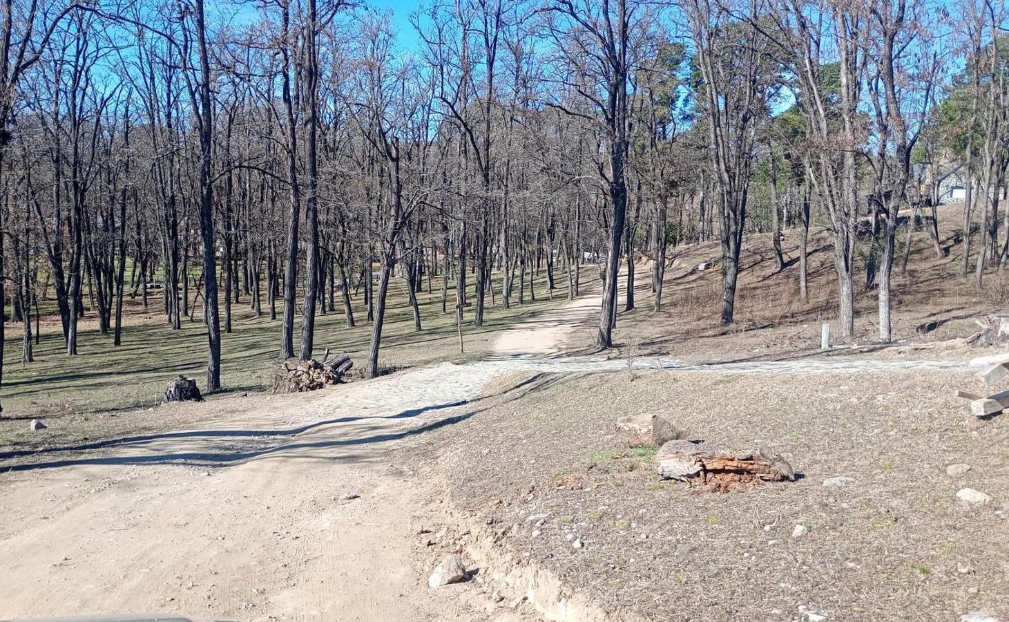 Foto de Lote, imagen 4