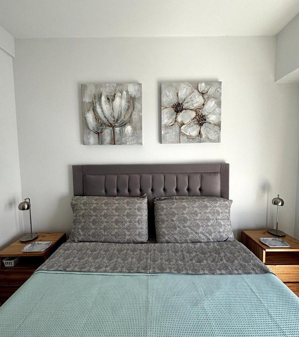 Foto de Departamento 2 ambientes amoblado Recoleta Capital Federal, imagen 5